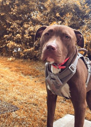 image_2023_10_10T13_12_16_011Z